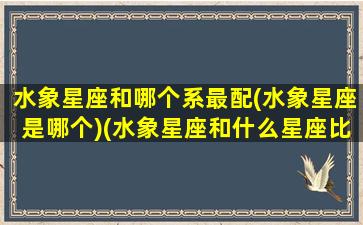 水象星座和哪个系最配(水象星座是哪个)(水象星座和什么星座比较配)