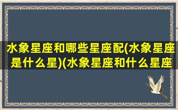 水象星座和哪些星座配(水象星座是什么星)(水象星座和什么星座比较配)