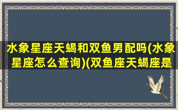 水象星座天蝎和双鱼男配吗(水象星座怎么查询)(双鱼座天蝎座是水象星座吗)