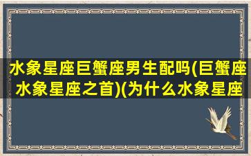 水象星座巨蟹座男生配吗(巨蟹座水象星座之首)(为什么水象星座中巨蟹最差)