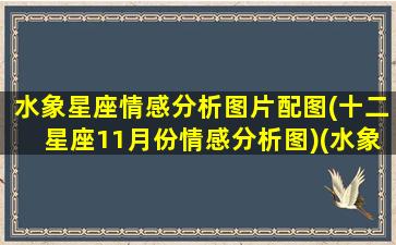 水象星座情感分析图片配图(十二星座11月份情感分析图)(水象星座感情特点)