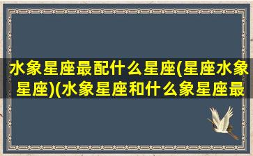 水象星座最配什么星座(星座水象星座)(水象星座和什么象星座最配)