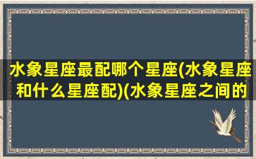 水象星座最配哪个星座(水象星座和什么星座配)(水象星座之间的配对)