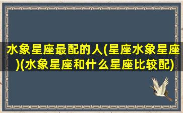 水象星座最配的人(星座水象星座)(水象星座和什么星座比较配)