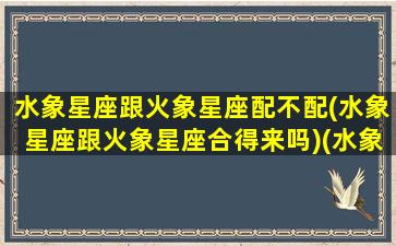 水象星座跟火象星座配不配(水象星座跟火象星座合得来吗)(水象和火象星座在一起的后果)