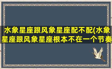 水象星座跟风象星座配不配(水象星座跟风象星座根本不在一个节奏上)