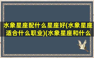 水象星座配什么星座好(水象星座适合什么职业)(水象星座和什么星座合适)