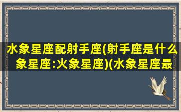 水象星座配射手座(射手座是什么象星座:火象星座)(水象星座最配什么星座)