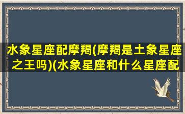 水象星座配摩羯(摩羯是土象星座之王吗)(水象星座和什么星座配对)