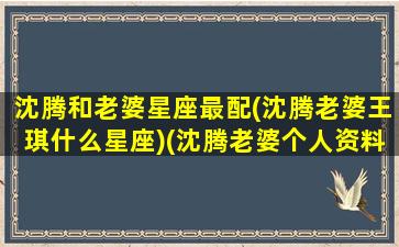 沈腾和老婆星座最配(沈腾老婆王琪什么星座)(沈腾老婆个人资料王琦)