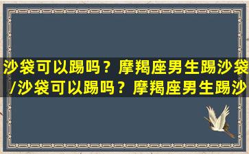 沙袋可以踢吗？摩羯座男生踢沙袋/沙袋可以踢吗？摩羯座男生踢沙袋-我的网站