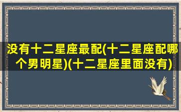 没有十二星座最配(十二星座配哪个男明星)(十二星座里面没有)