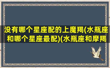 没有哪个星座配的上魔羯(水瓶座和哪个星座最配)(水瓶座和摩羯座哪个星座好)