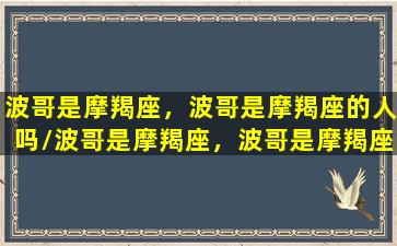 波哥是摩羯座，波哥是摩羯座的人吗/波哥是摩羯座，波哥是摩羯座的人吗-我的网站