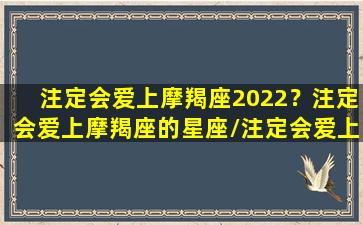 注定会爱上摩羯座2022？注定会爱上摩羯座的星座/注定会爱上摩羯座2022？注定会爱上摩羯座的星座-我的网站