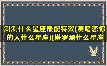 测测什么星座最配特效(测暗恋你的人什么星座)(塔罗测什么星座会暗恋您)