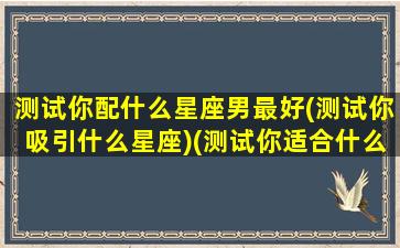 测试你配什么星座男最好(测试你吸引什么星座)(测试你适合什么样的男生)