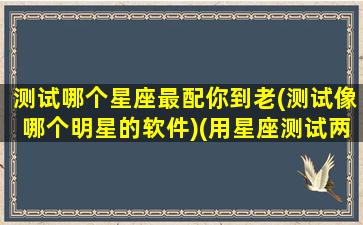 测试哪个星座最配你到老(测试像哪个明星的软件)(用星座测试两个人配不配)