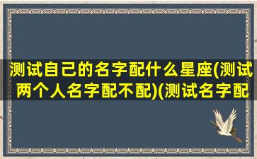 测试自己的名字配什么星座(测试两个人名字配不配)(测试名字配对测试二人关系)