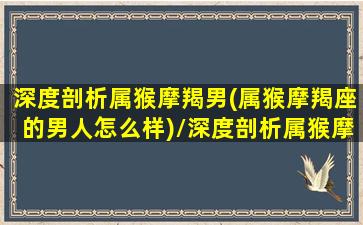 深度剖析属猴摩羯男(属猴摩羯座的男人怎么样)/深度剖析属猴摩羯男(属猴摩羯座的男人怎么样)-我的网站