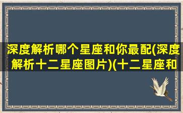 深度解析哪个星座和你最配(深度解析十二星座图片)(十二星座和什么星座最配做朋友)