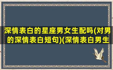 深情表白的星座男女生配吗(对男的深情表白短句)(深情表白男生的一段话)