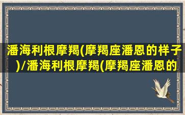 潘海利根摩羯(摩羯座潘恩的样子)/潘海利根摩羯(摩羯座潘恩的样子)-我的网站