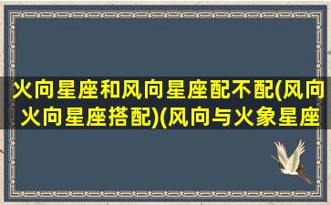 火向星座和风向星座配不配(风向火向星座搭配)(风向与火象星座相处)