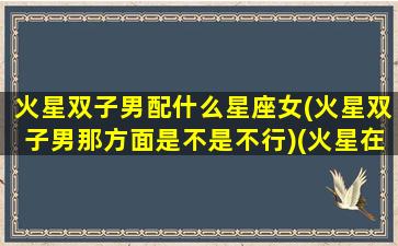 火星双子男配什么星座女(火星双子男那方面是不是不行)(火星在双子座男人爱情)