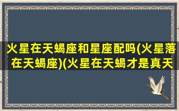 火星在天蝎座和星座配吗(火星落在天蝎座)(火星在天蝎才是真天蝎)