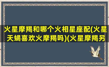 火星摩羯和哪个火相星座配(火星天蝎喜欢火摩羯吗)(火星摩羯另一半)