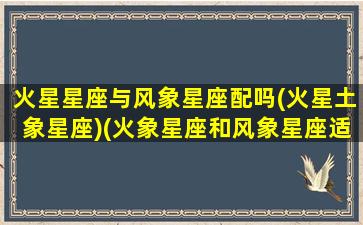 火星星座与风象星座配吗(火星土象星座)(火象星座和风象星座适合在一起吗)