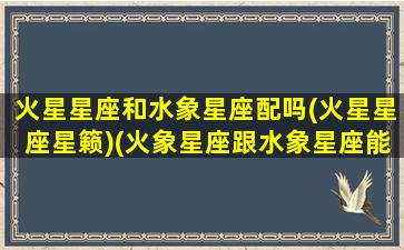 火星星座和水象星座配吗(火星星座星籁)(火象星座跟水象星座能在一起么)