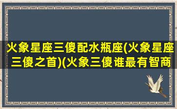 火象星座三傻配水瓶座(火象星座三傻之首)(火象三傻谁最有智商)