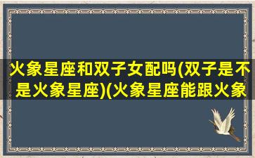 火象星座和双子女配吗(双子是不是火象星座)(火象星座能跟火象星座在一起吗)