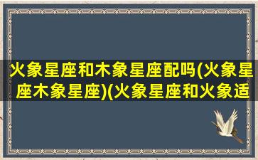 火象星座和木象星座配吗(火象星座木象星座)(火象星座和火象适合吗)