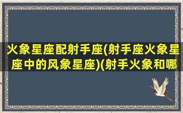 火象星座配射手座(射手座火象星座中的风象星座)(射手火象和哪个星座最配)