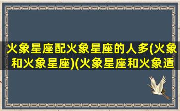 火象星座配火象星座的人多(火象和火象星座)(火象星座和火象适合吗)