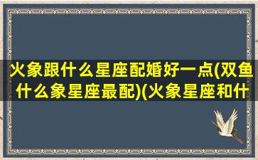 火象跟什么星座配婚好一点(双鱼什么象星座最配)(火象星座和什么象合适)