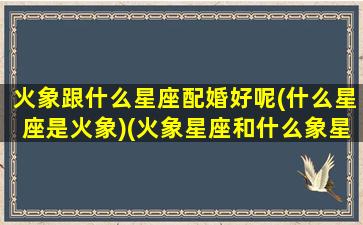 火象跟什么星座配婚好呢(什么星座是火象)(火象星座和什么象星座配)