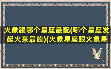 火象跟哪个星座最配(哪个星座发起火来最凶)(火象星座跟火象星座配)