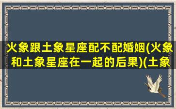 火象跟土象星座配不配婚姻(火象和土象星座在一起的后果)(土象和火象星座相克吗)