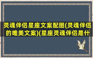 灵魂伴侣星座文案配图(灵魂伴侣的唯美文案)(星座灵魂伴侣是什么意思)