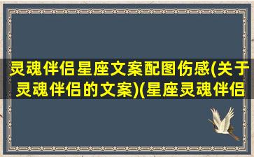 灵魂伴侣星座文案配图伤感(关于灵魂伴侣的文案)(星座灵魂伴侣是什么意思)