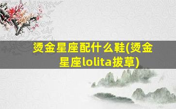 烫金星座配什么鞋(烫金星座lolita拔草)