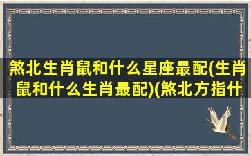 煞北生肖鼠和什么星座最配(生肖鼠和什么生肖最配)(煞北方指什么生肖)