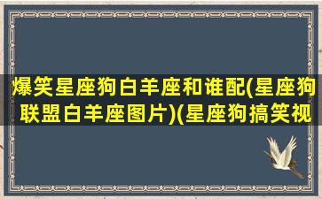 爆笑星座狗白羊座和谁配(星座狗联盟白羊座图片)(星座狗搞笑视频)