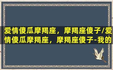 爱情傻瓜摩羯座，摩羯座傻子/爱情傻瓜摩羯座，摩羯座傻子-我的网站