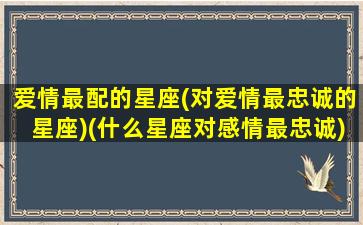 爱情最配的星座(对爱情最忠诚的星座)(什么星座对感情最忠诚)