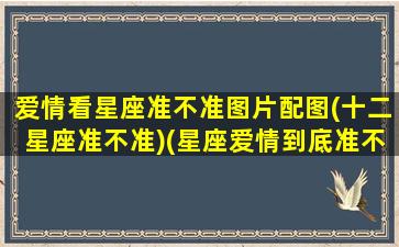 爱情看星座准不准图片配图(十二星座准不准)(星座爱情到底准不准)